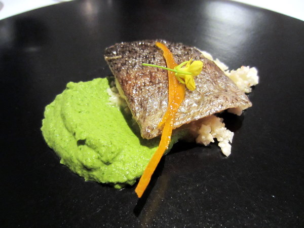 Sagetrout-1