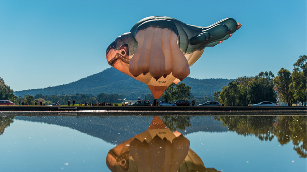 skywhale