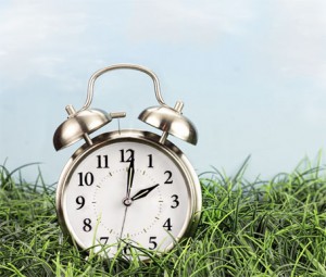 Clock in grass. Daylight saving time concept.
