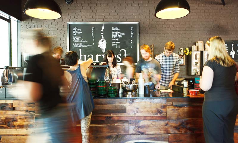 harvest coffee