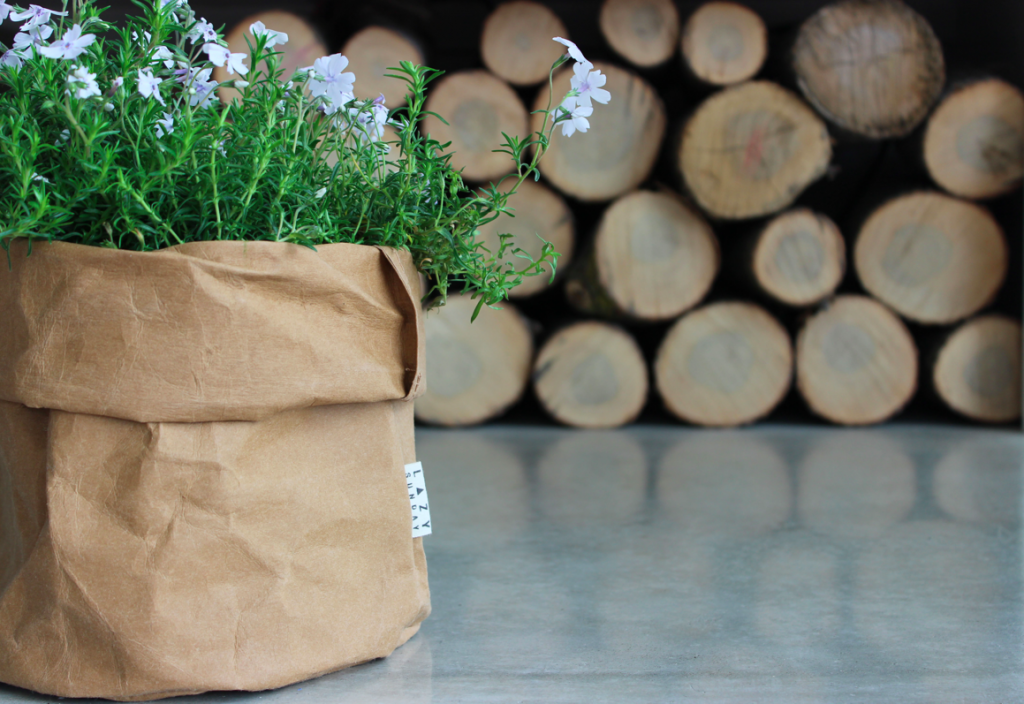 10060_Paper Bags_Amy 2