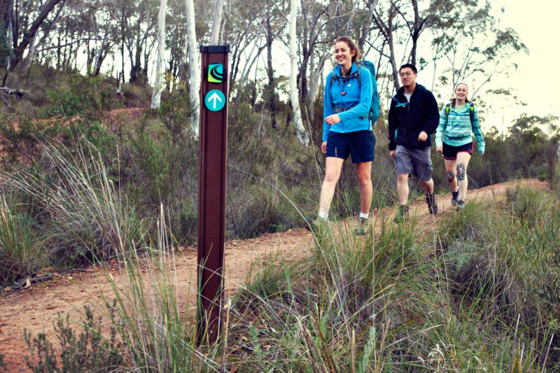 cbr100challenge-centenary-trail4-800x533