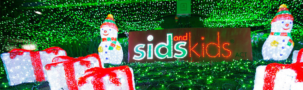 The lights from 2014