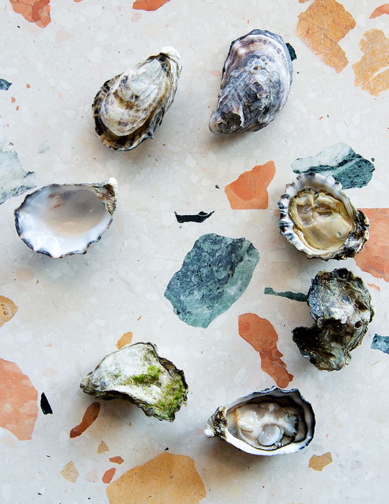 oysters fix and make