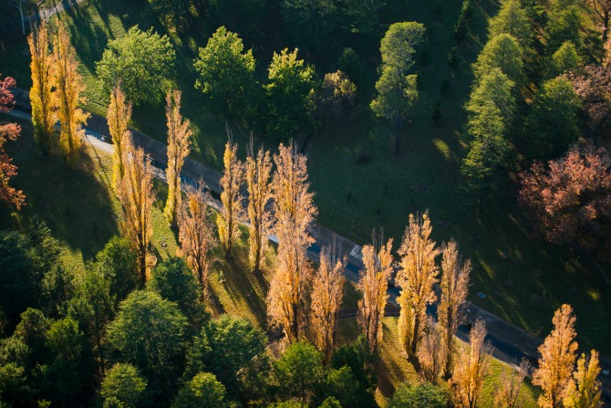 AutumnWalksCanberraMO_1