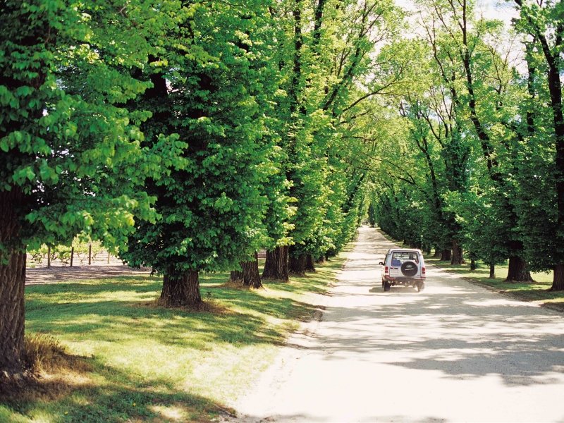 AllSaintsEstate