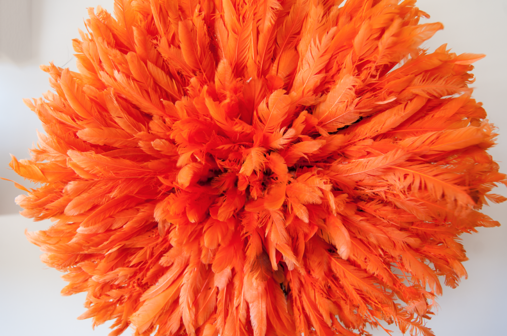 Screen Shot 2016-06-02 at 9.41.53 am