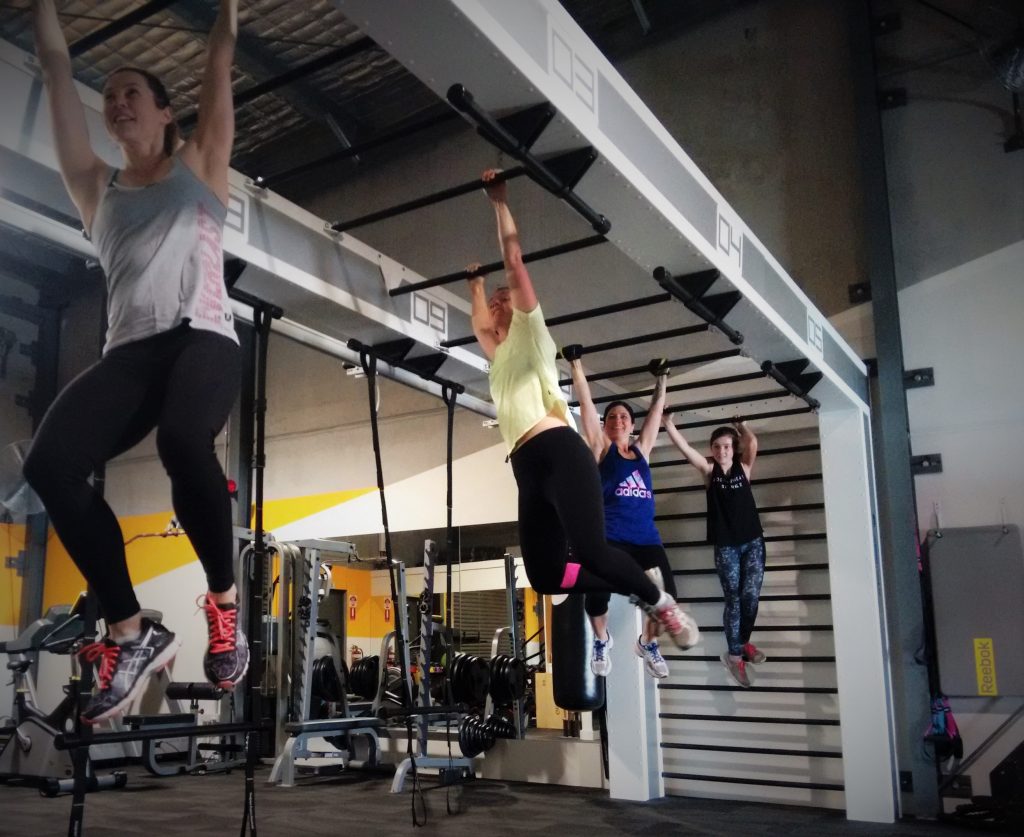 LongLife Fitness SuperFunctional Monkey Bars