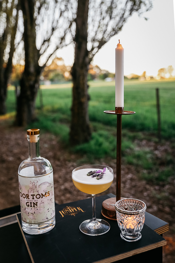 hidden-feast-lean-timms-anisa-sabet-the-macadames-31-31