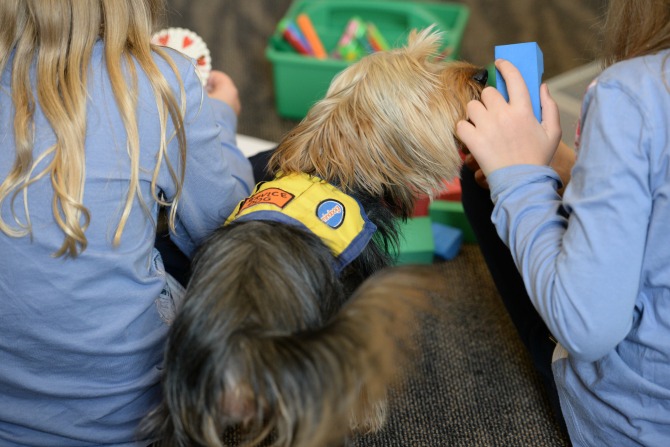 adrienne-cottell-jlimages_1