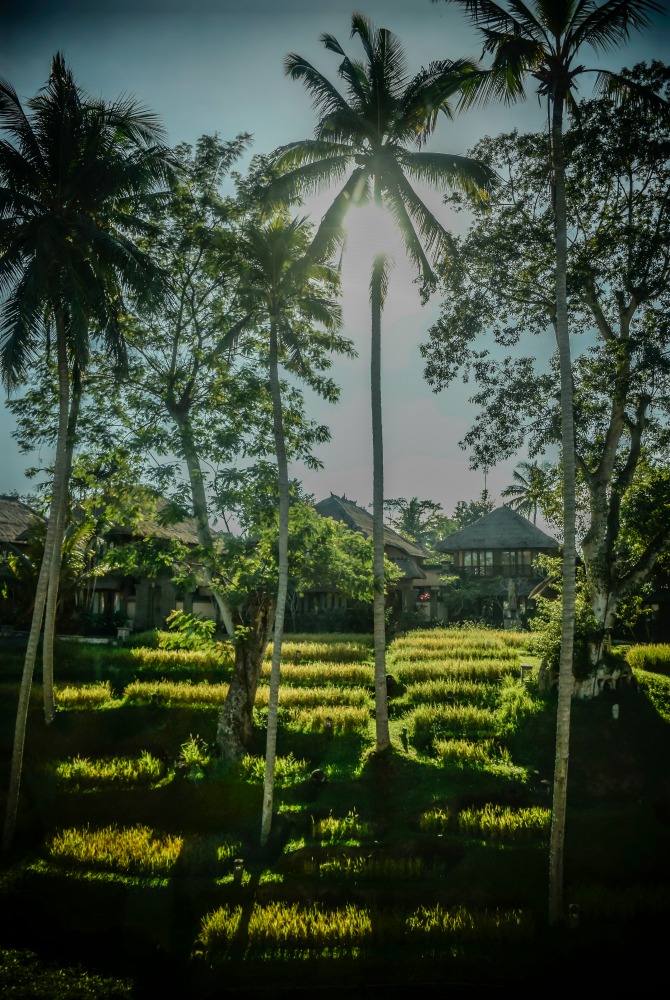 bali_karleenminney_3