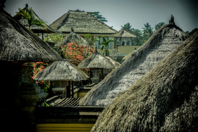 bali_karleenminney_5