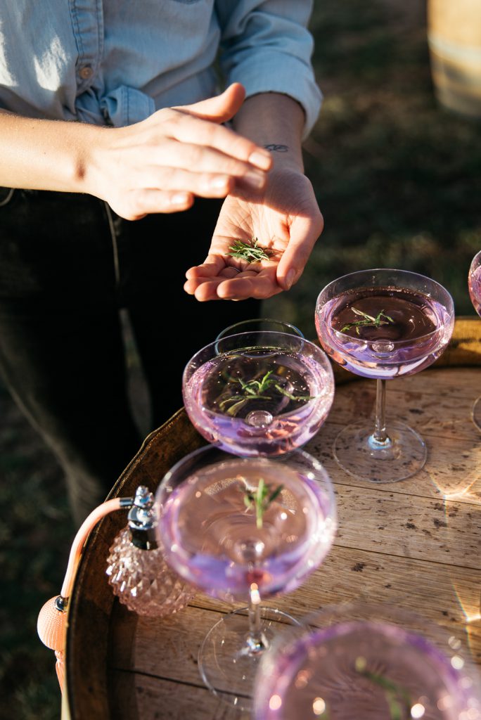 Hidden Feast | Midsummer | Canberra | Anisa Sabet | Photographed by Lean Timms | Anisa Sabet | The Macadames-114-8