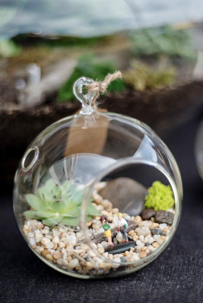 Sarariums 2_timbean