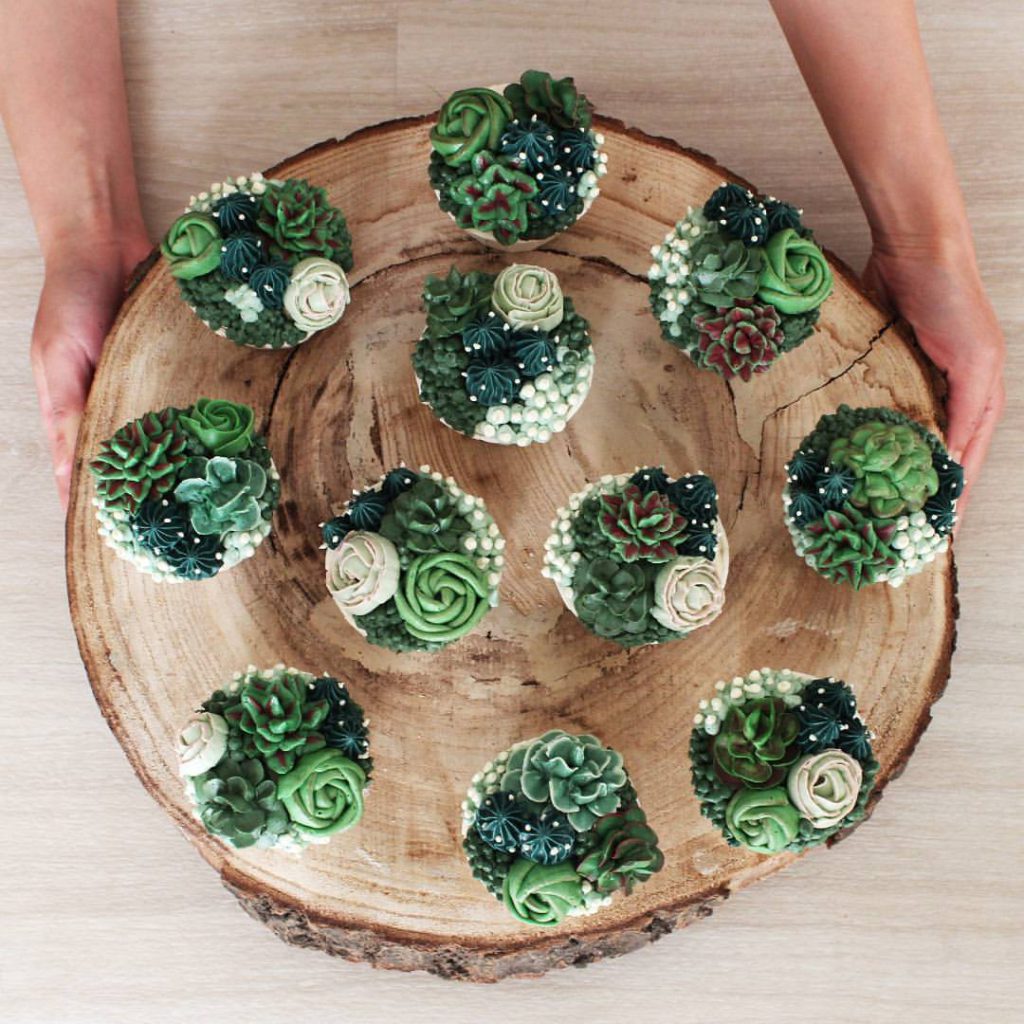 Cuppalini_succulents
