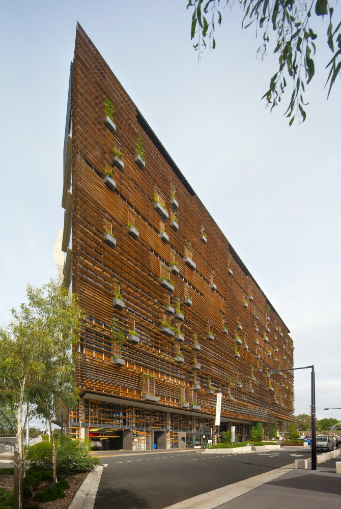 Nishi. Credit: John Gollings