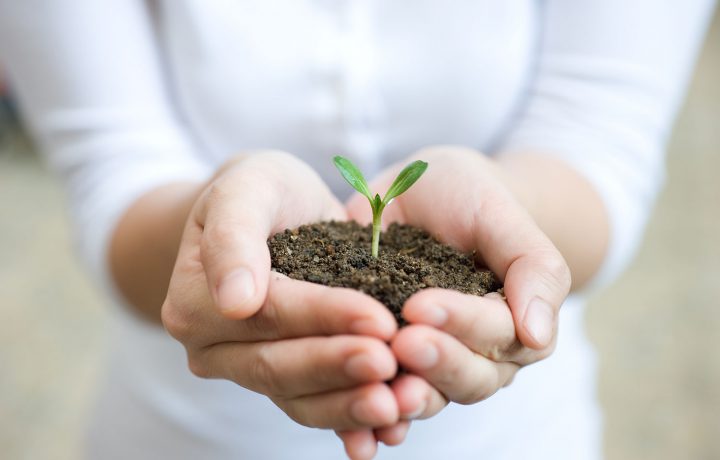 Monday Moment: Life is Precious