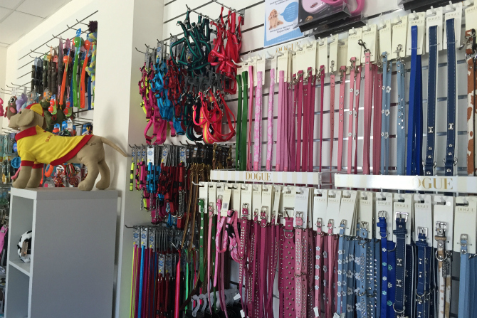 Puppy love: New DOGUE on the block