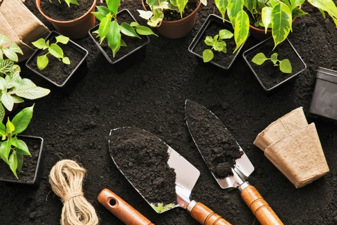 Sustainable life: Spring gardening