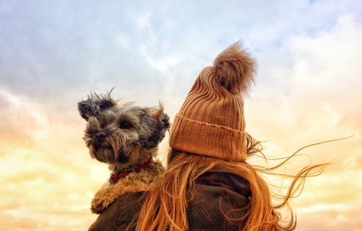 Three awesome autumnal walks for the whole family (yes, we mean dogs)