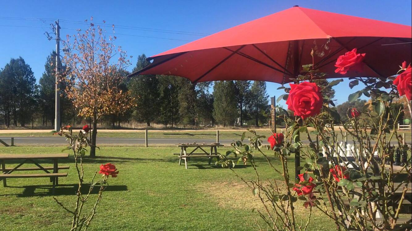 18426980_10211613552467008_1091002930_o