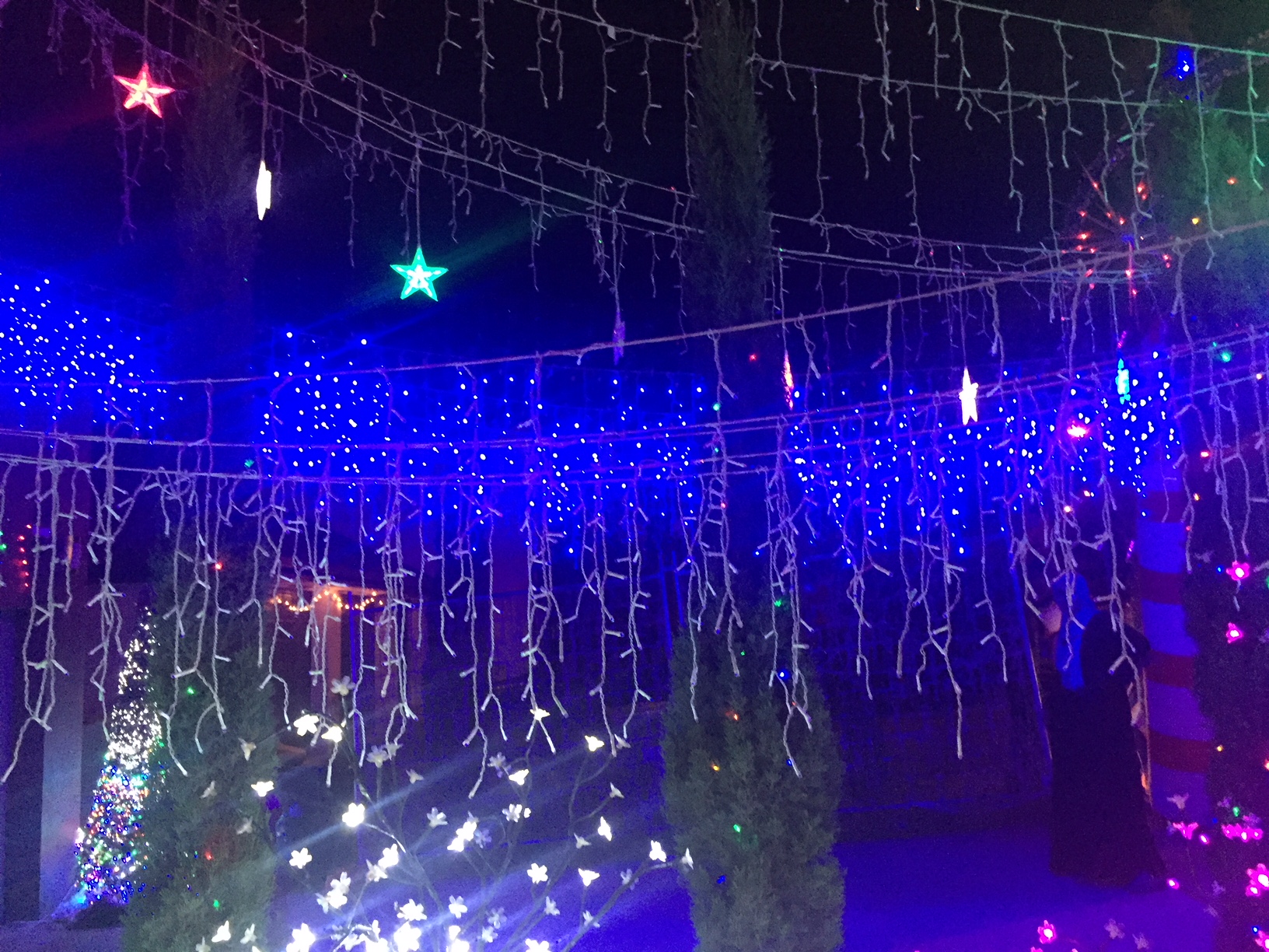 The ultimate guide to Canberra's best Christmas lights for 2017