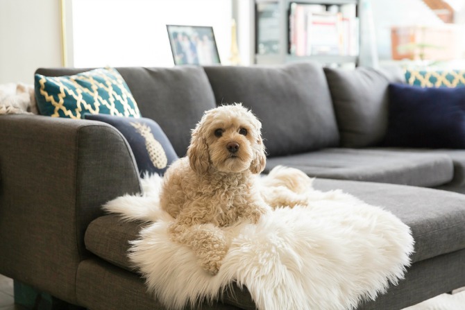 Home Stories: Janette Wojtaszak