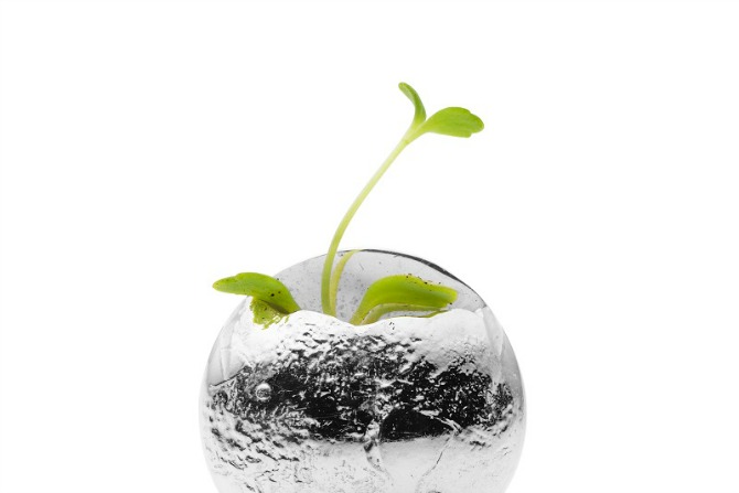 Raising the Bench Mark