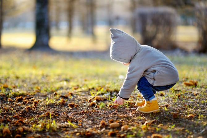 Nature play In My Backyard