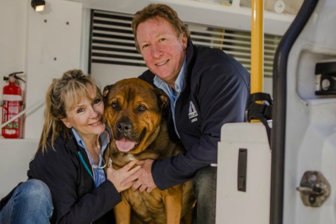Meet the couple behind Canberra’s Pet Ambulance