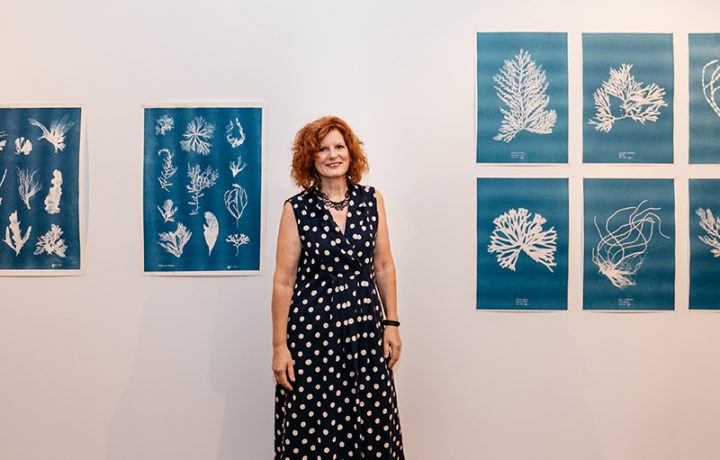 Hidden talents brought to light