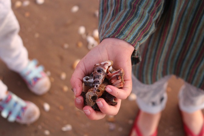 Our family gap year: a different perspective