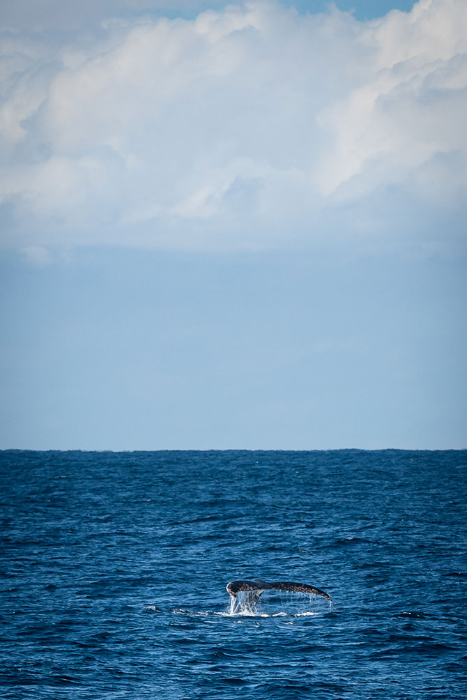 A Canberra Girl’s Guide to Jervis Bay HerCanberra