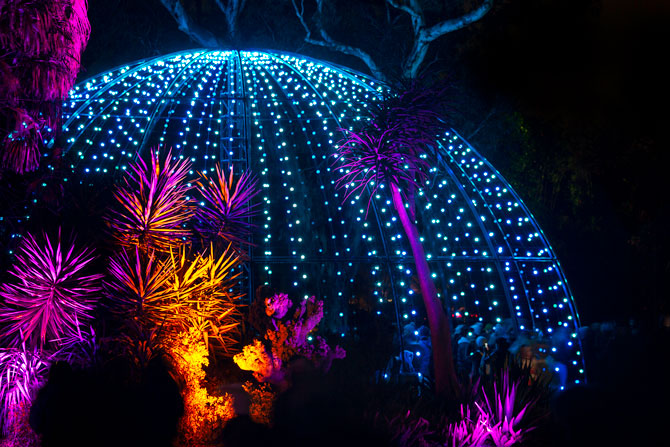 NightFest to showcase a World in Bloom