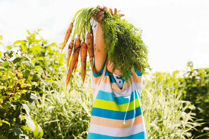 Sustainable Life: How to plant a veggie patch with your kids