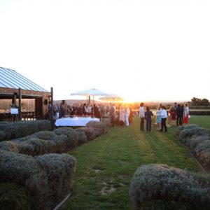 Ciao, Pialligo! Armada Collective bringing new Italian identity to Pialligo Estate