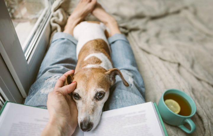 Planning on being home more? Here’s how to save energy and reduce your power bills