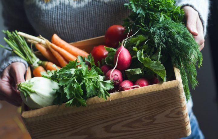 Sustainable Life: how to build the perfect autumn veggie patch