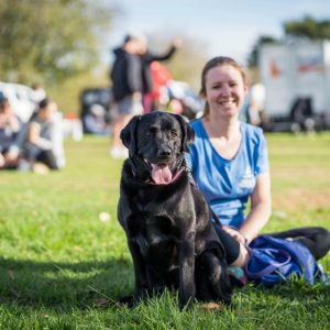 The Canberra Paws Walk, Canberra Wool Expo and 55+ other things to do this weekend