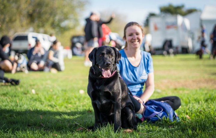 The Canberra Paws Walk, Canberra Wool Expo and 55+ other things to do this weekend