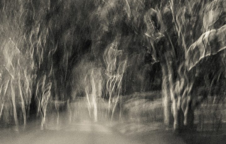 How creativity helped me navigate grief