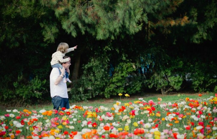 10 Free (or Cheap) Family-Friendly Things To Do in Canberra This Spring