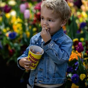 Hello weekend plans! Here are 50+ things to do in Canberra