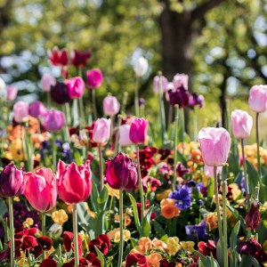The Best Of Spring