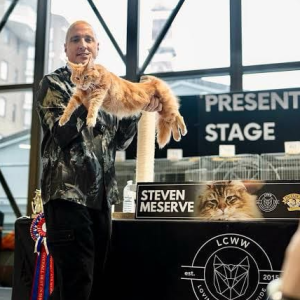 Does your cat have what it takes to strut the catwalk? Mine certainly do...