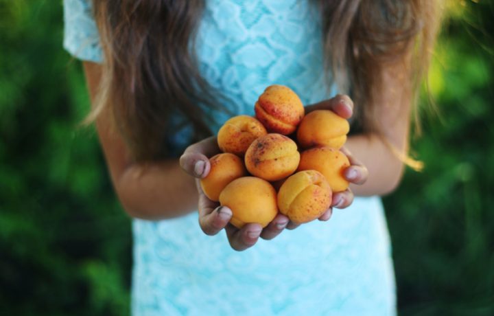Sustainable Life: Stone fruit harvest recipes