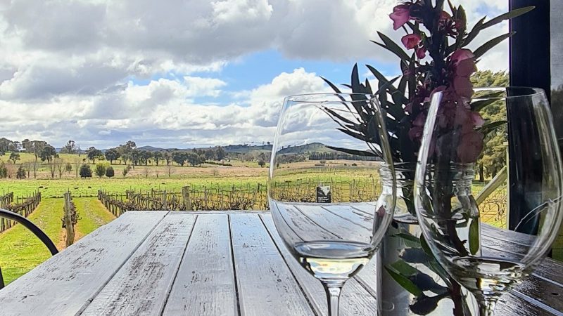 the view from vintners daughter