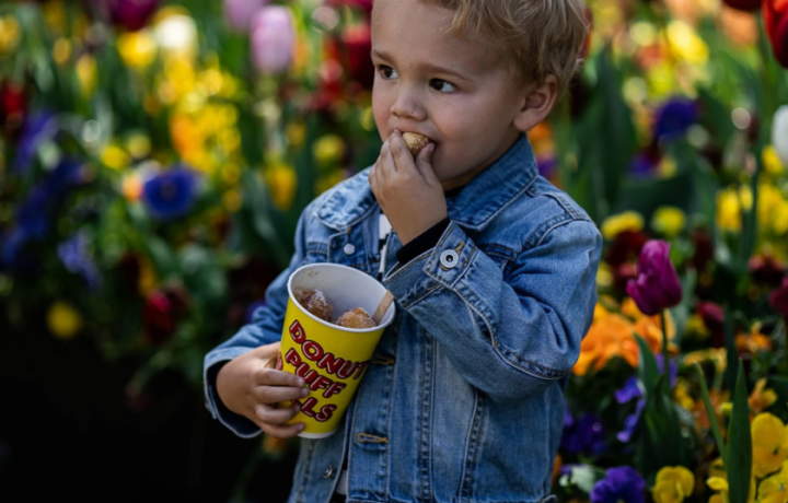 All you need to know about Floriade 2025: The ultimate cheat sheet