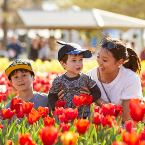 What not to miss this week at Floriade