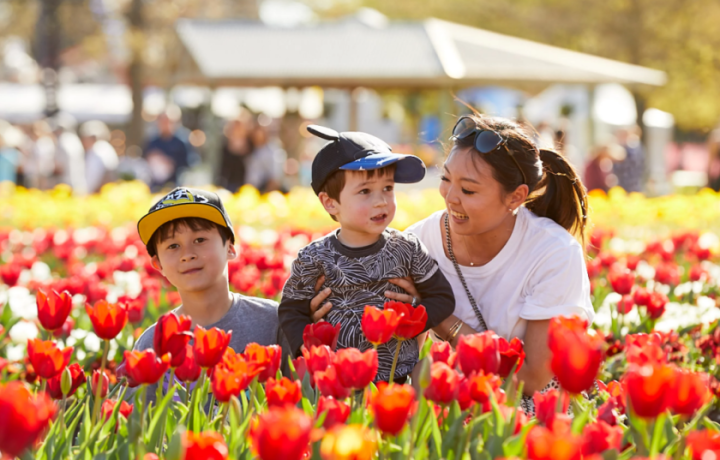 What not to miss this week at Floriade